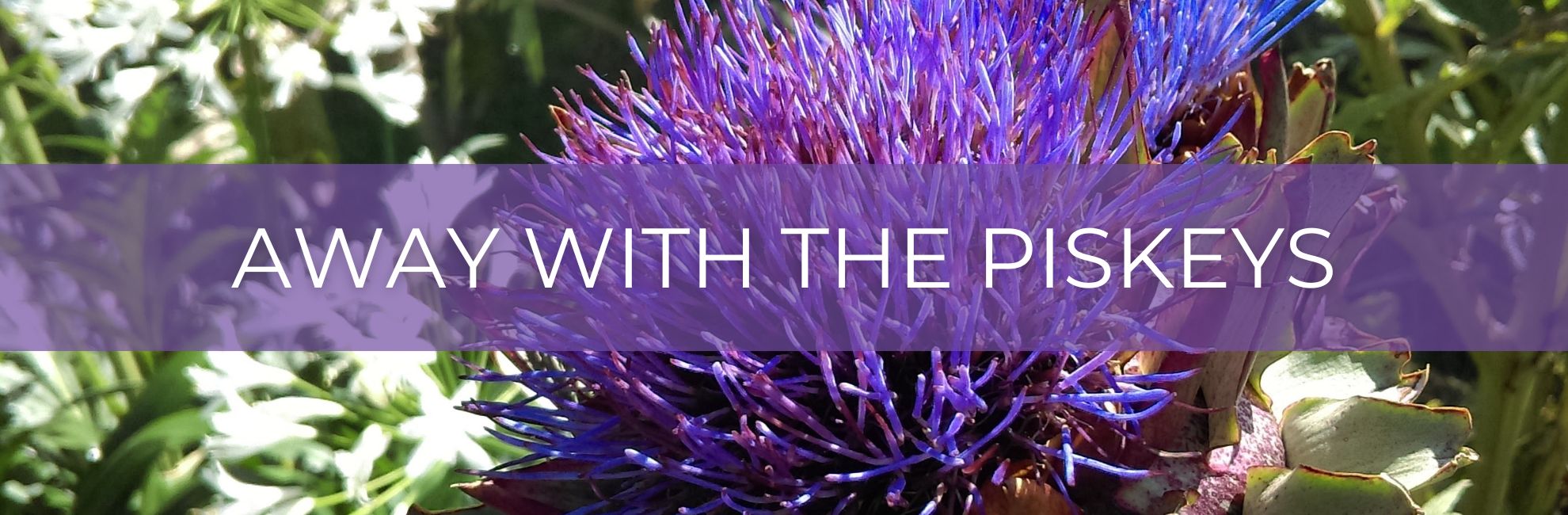 Purple thistle with text 'Away with the Piskeys'