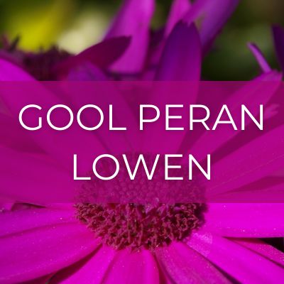 Pink flower with text 'Gool Peran Lowen'